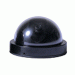 Dome Camera - B/W - 5"- Auto-iris